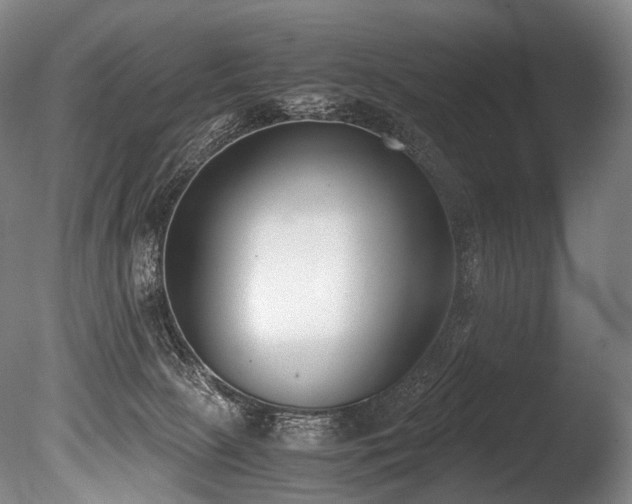 X0000086110081200703231512