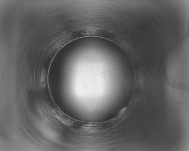 X0000086110082200703231512