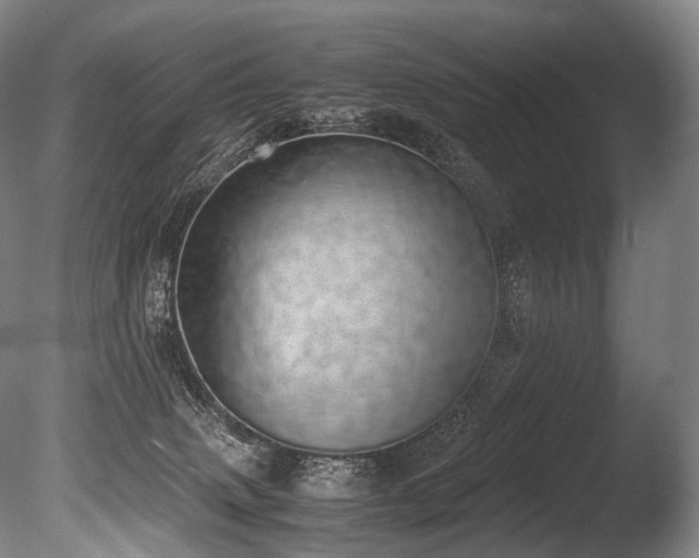 X0000086110083200703231512