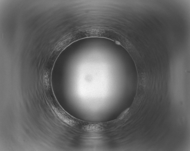 X0000086110086200703231512