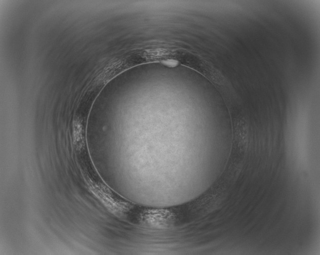 X0000086110087200703231513
