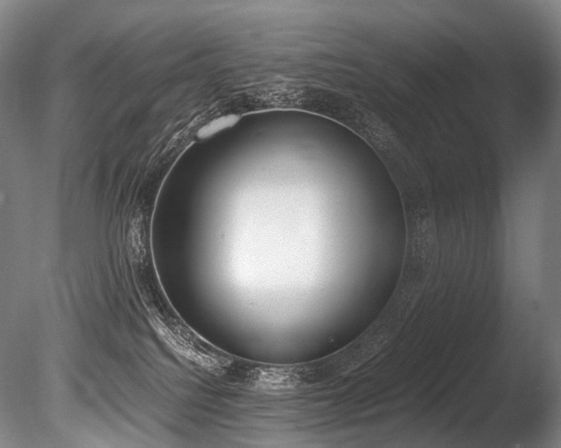 X0000086110088200703231513