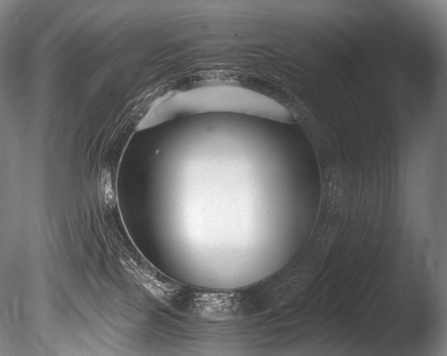 X0000086110089200703231513