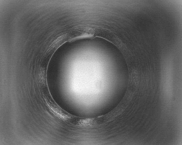 X0000086110092200703231513