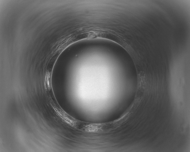 X0000086110094200703231513