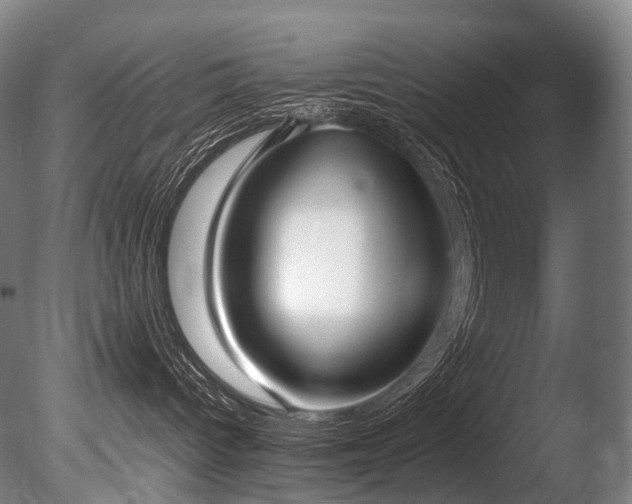 X0000086110096200703231513