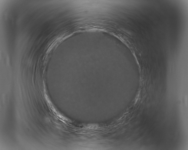 X0000086110097200703231512
