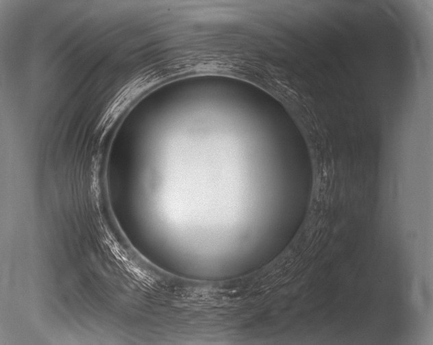 X0000086110098200703231512