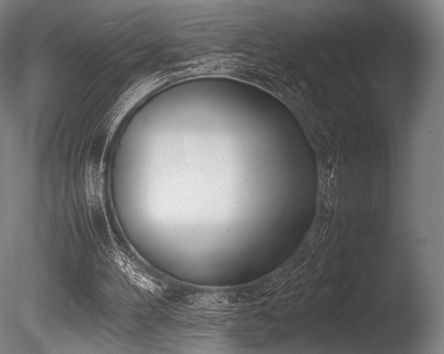 X0000086110100200703231512
