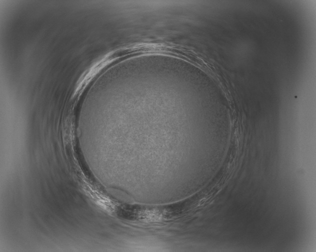 X0000086110103200703231512