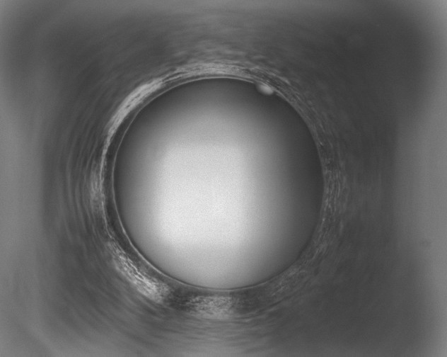 X0000086110104200703231512