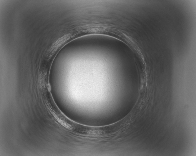 X0000086110105200703231512