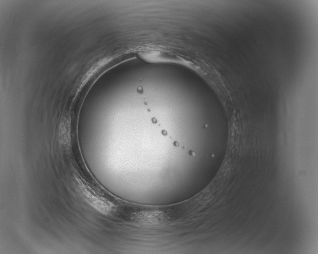 X0000086110108200703231512