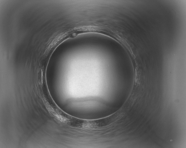 X0000086110109200703231512