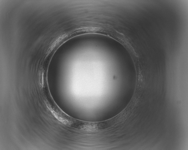 X0000086110110200703231512