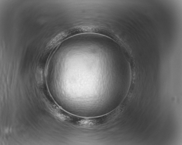 X0000086110117200703231511