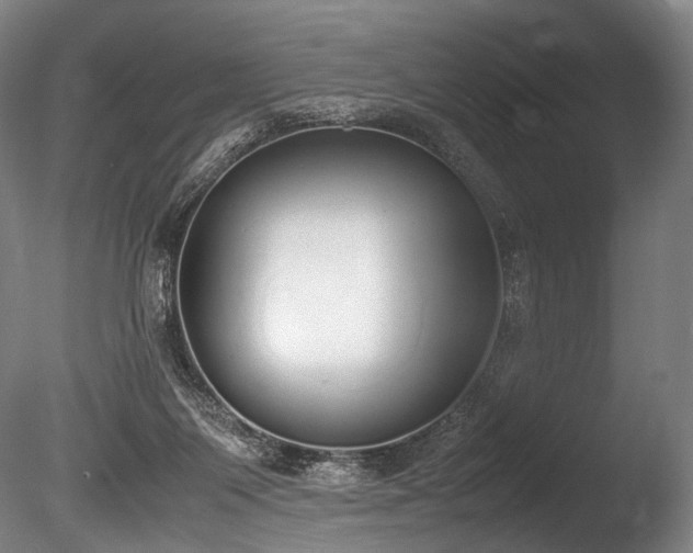 X0000086110119200703231511