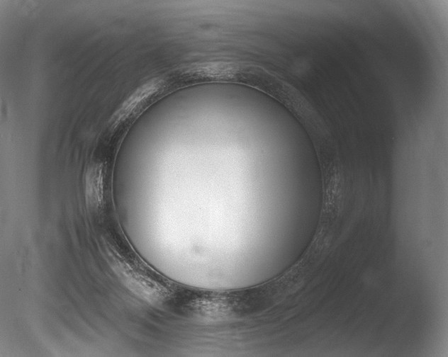 X0000086110120200703231511