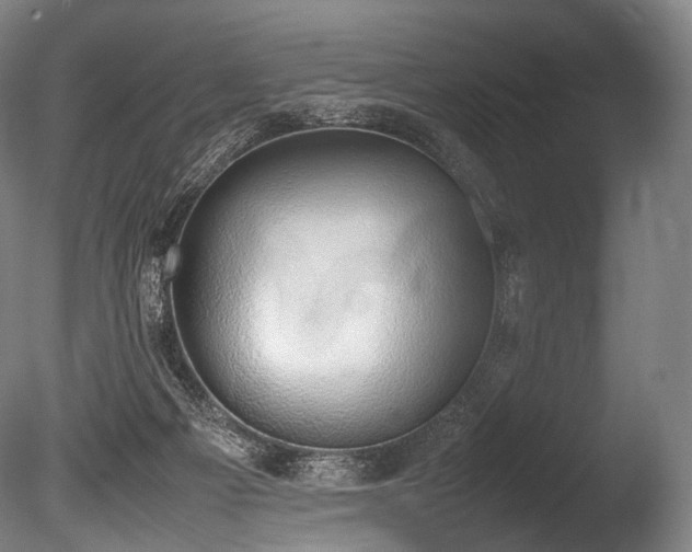 X0000086110121200703231511