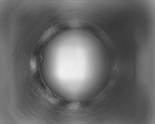 X0000086110124200703231511