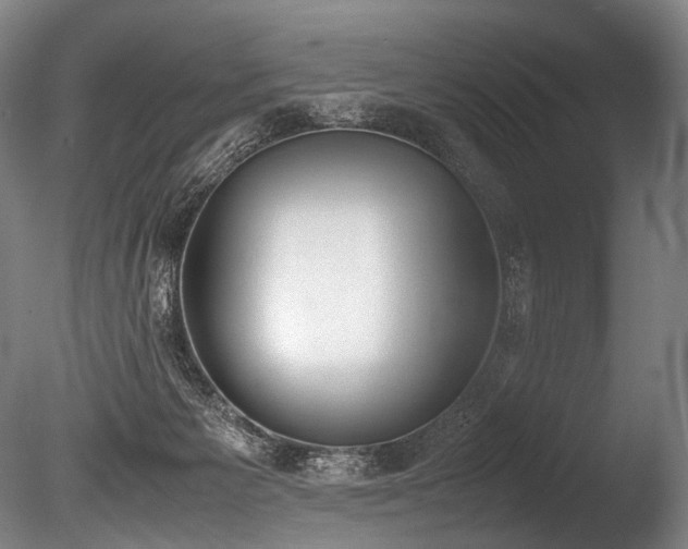 X0000086110125200703231511