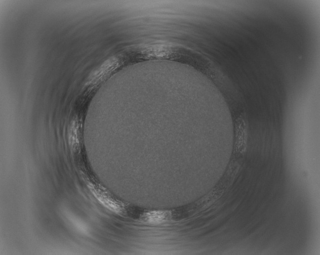 X0000086110126200703231511