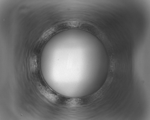 X0000086110128200703231511