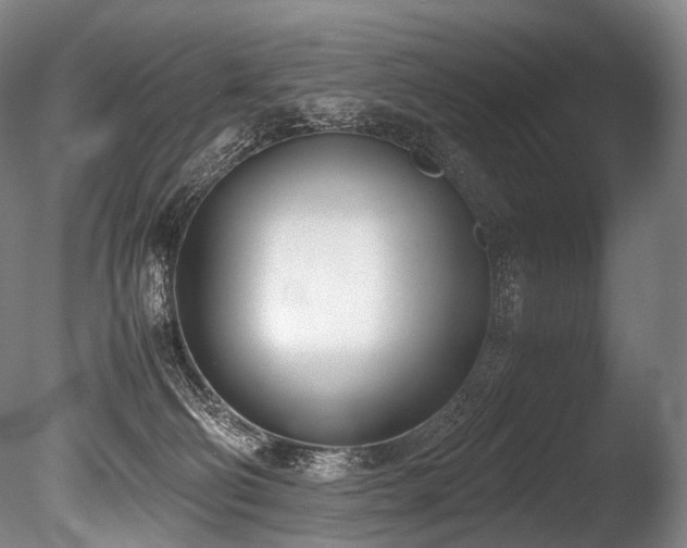 X0000086110130200703231511