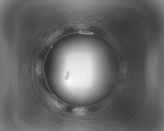 X0000086110133200703231511