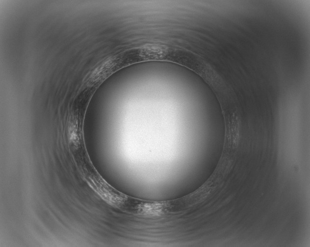 X0000086110134200703231511