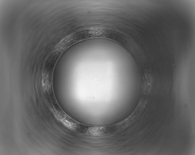 X0000086110136200703231511