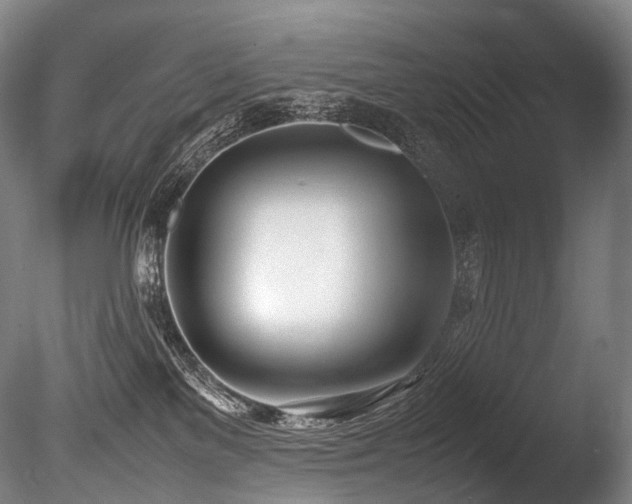 X0000086110137200703231511