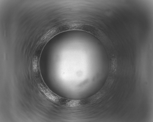 X0000086110138200703231511