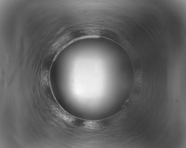 X0000086110141200703231511