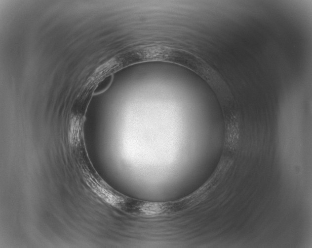 X0000086110142200703231511