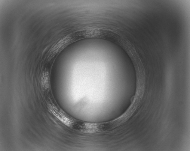 X0000086110144200703231511