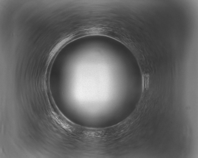 X0000086110147200703231510