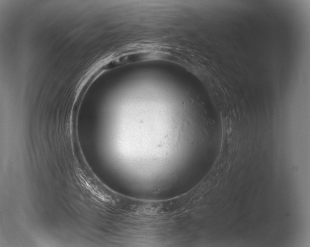 X0000086110148200703231510