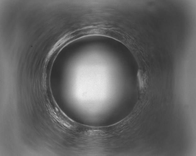 X0000086110150200703231510