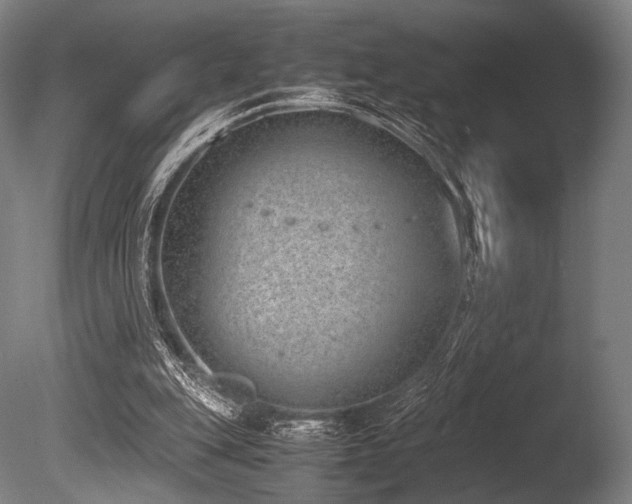 X0000086110151200703231510