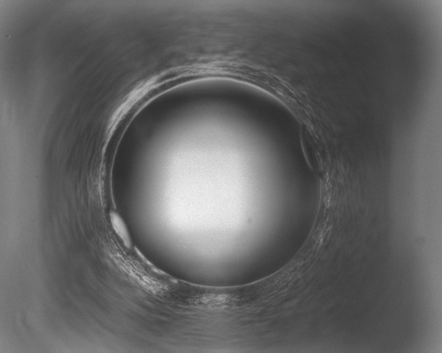 X0000086110152200703231510