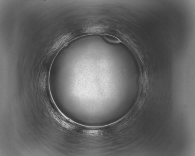 X0000086110153200703231510