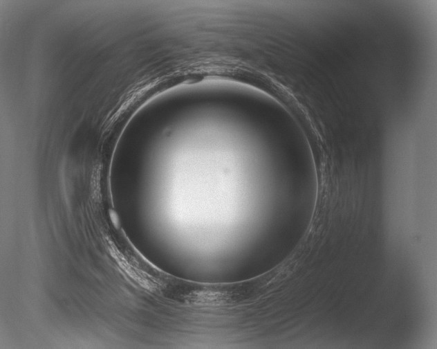 X0000086110154200703231510