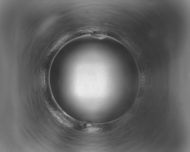 X0000086110158200703231510
