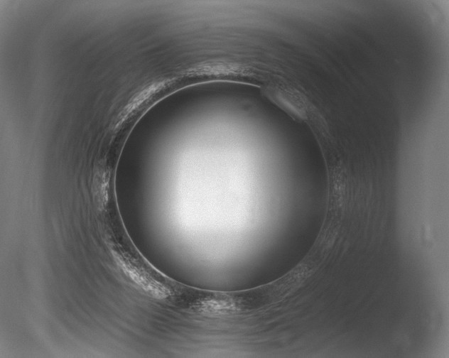 X0000086110160200703231510