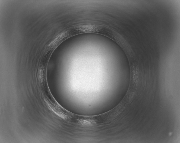 X0000086110165200703231511