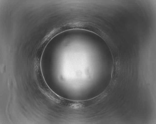 X0000086110168200703231511