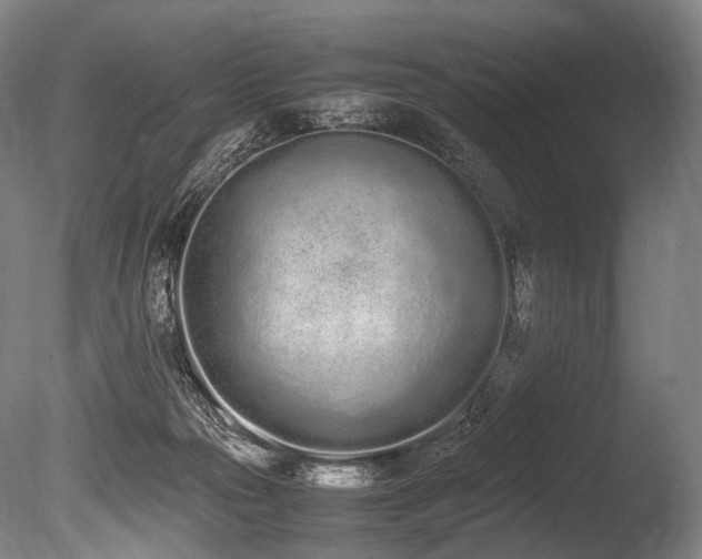 X0000086110169200703231511