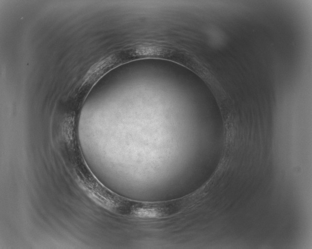 X0000086110171200703231511