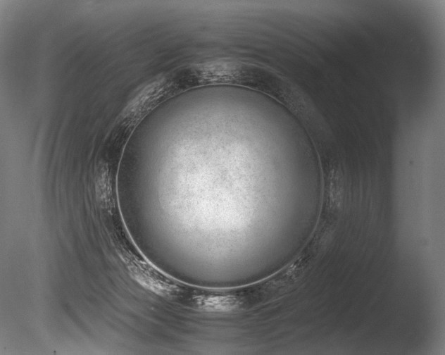 X0000086110173200703231511